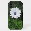 Search for african daisies iphone cases Nature