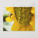 Search for bee image postcards Flora