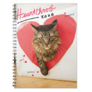 Search for cat notebooks Kitten