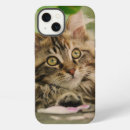 Search for fluffy kitten iphone cases Animal