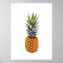Search for herb illustration posters Botanical