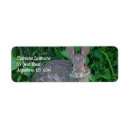 Search for the rabbits labels Nature