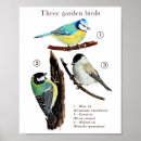 Search for blue mini posters Illustration