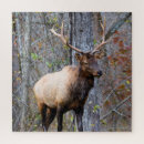 Search for big game hunting puzzles Antlers