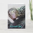 Search for succession cards Encouragement