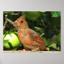 Search for juvenile art Nature