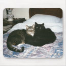Search for bed mousepads Cat