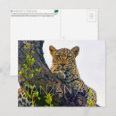 Search for tanzania National park