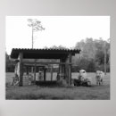 Search for black and white cow posters Farm