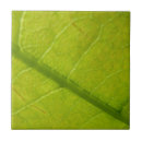 Search for green leaf tiles Summer