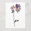Search for iii postcards Botanical