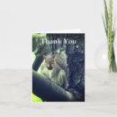 Search for tree squirrel cards Animal