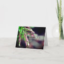 Search for droplets cards Floral