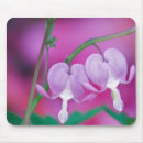 Search for bleeding heart electronics Nature