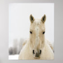 Search for head posters Horses
