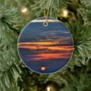 Search for beach photo christmas tree decorations Sky
