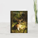 Search for buck cards Hunter