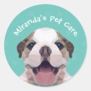 Search for poly stickers Dog
