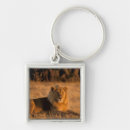 Search for lion key rings Lincoln peak
