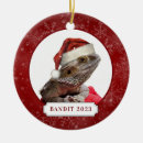 Search for bearded dragon christmas tree decorations Cute