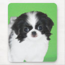Search for chin electronics Japanese spaniel