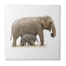 Search for elephant tiles Wild