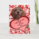 Search for funny cocker spaniel cards Cute