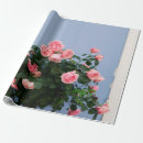 Search for red roses wrapping paper Paris