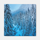 Search for cascade magnets Evergreen