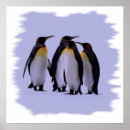 Search for 24x24 posters Nature