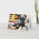 Search for veterinarian birthday cards Dog