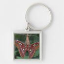 Search for moth key rings Animal