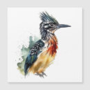 Search for desert birds cards Roadrunner
