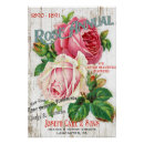 Search for catalogue posters Roses
