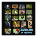 Search for bird watching art Nature