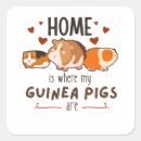 Search for pigs stickers Children