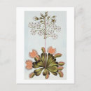 Search for trap postcards Botanical
