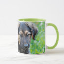 Search for german shepherd puppies mugs Grass