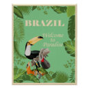 Search for brazil art Toucan