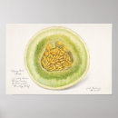 Search for melon posters Vintage