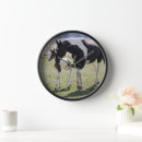 Search for filly art Ranch