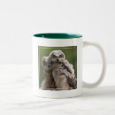 Search for great horned owls mugs Nature