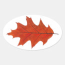 Search for oak leaf stickers Autumn