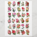 Search for roses scrapbook paper Botanical