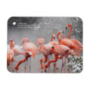 Search for smithsonian cards National zoo