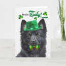 Search for schipperke cards Dogs