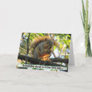 Search for funny squirrel pictures cards Cute