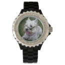 Search for westie watches Cute