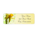 Search for yellow daffodils return address labels Cute