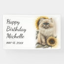 Search for himalayan cat Kitten
